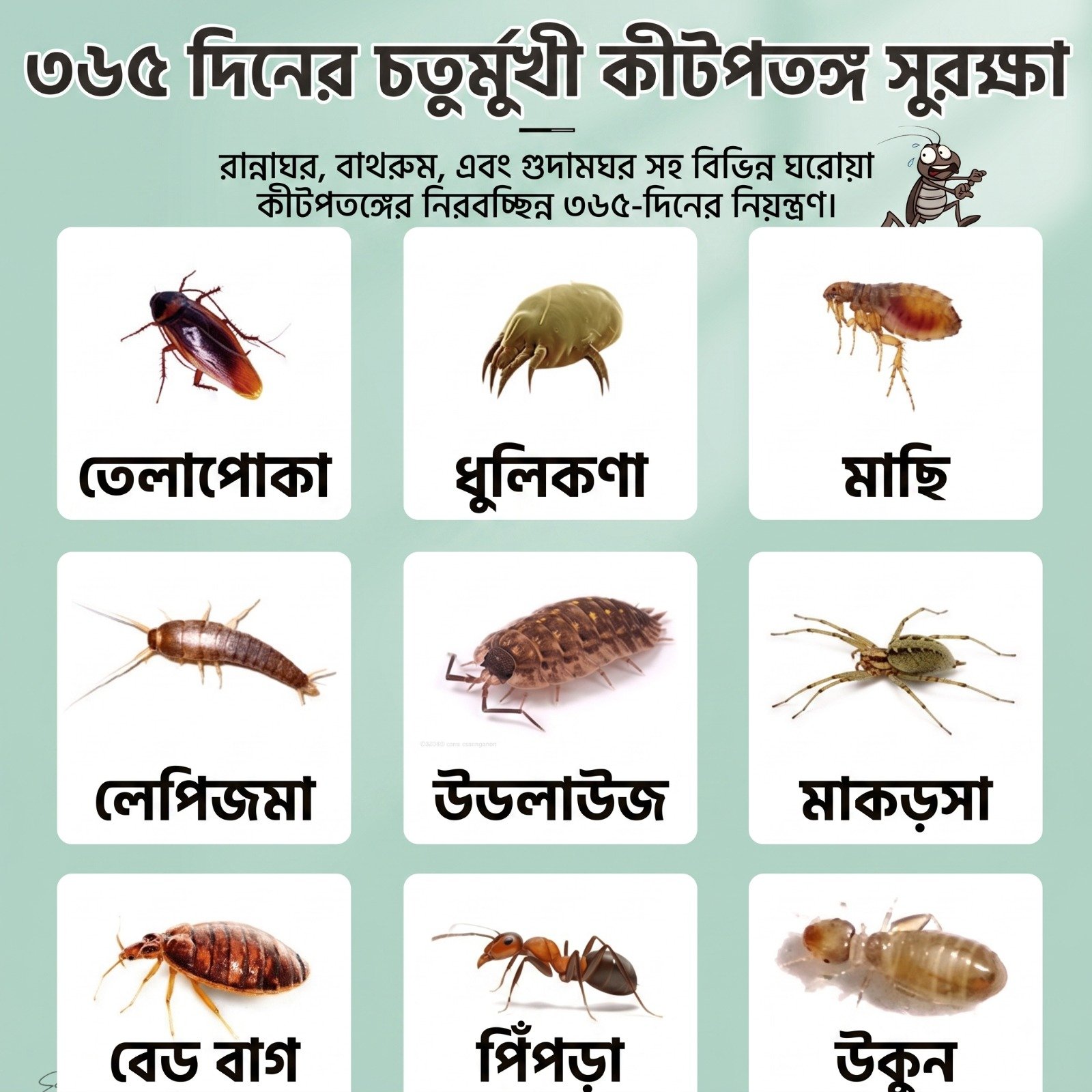 WhatsApp Image 2026-08-15 at 11.35.05 PM (4)
